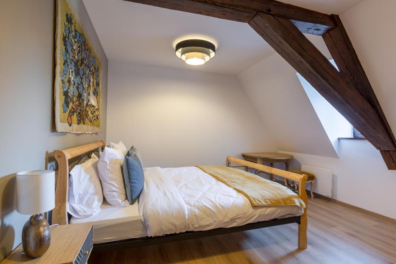 Le Rhenanus Jacques Taurellus - Appartement Duplex Au Calme - Centre Ville - Parking Gratuit Selestat Exterior photo